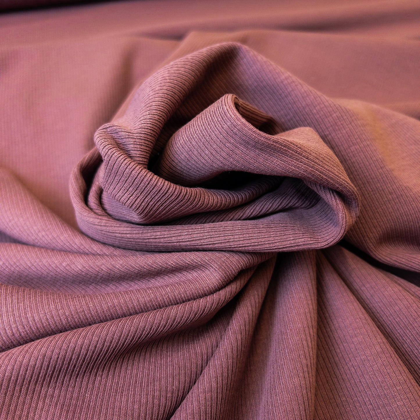 Rib Jersey in Aubergine