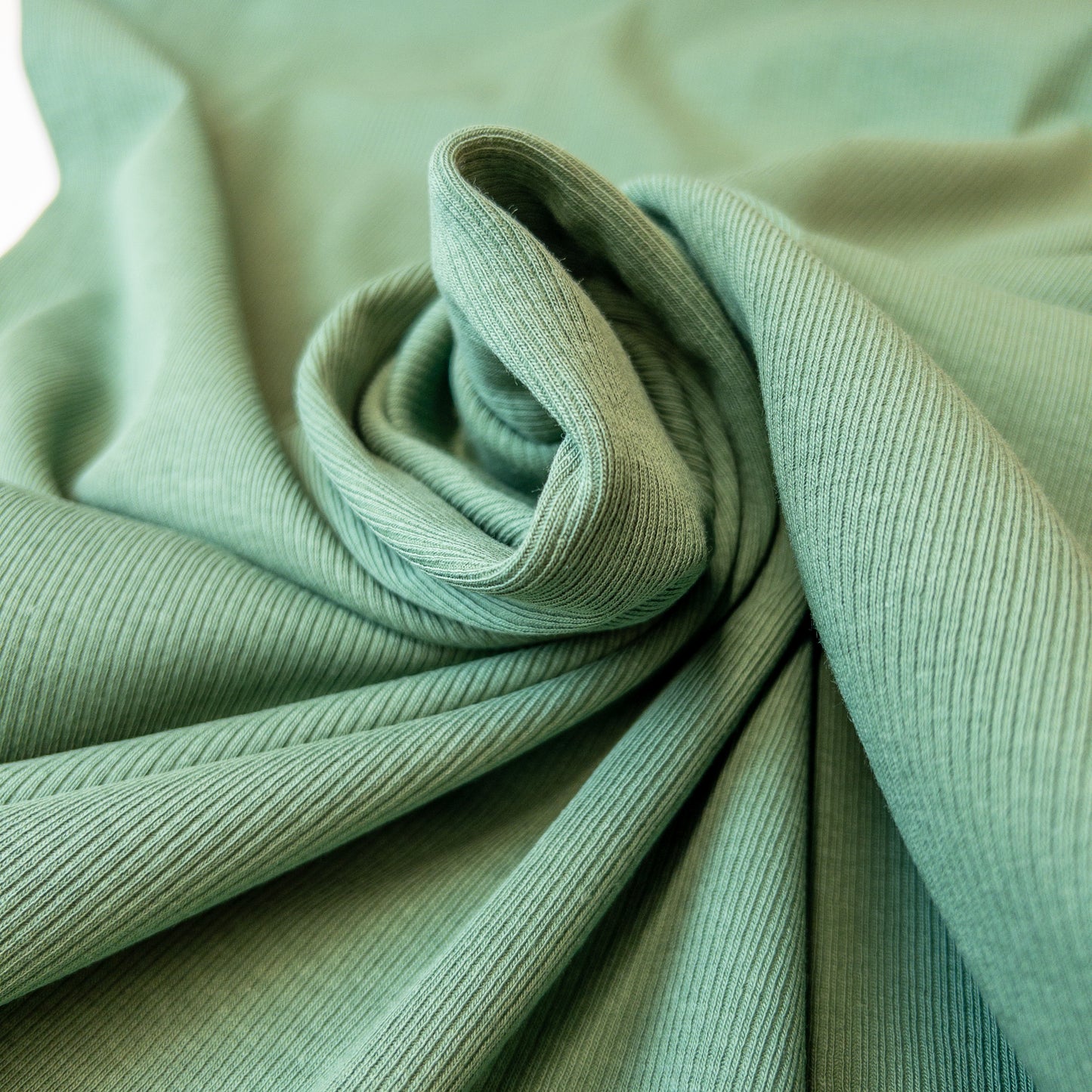 Rib Jersey in Old Green