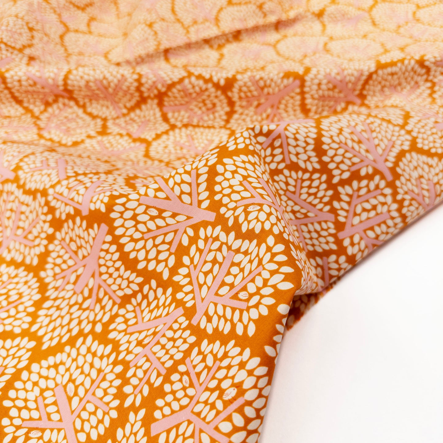 Bird Is the Word in Tumeric