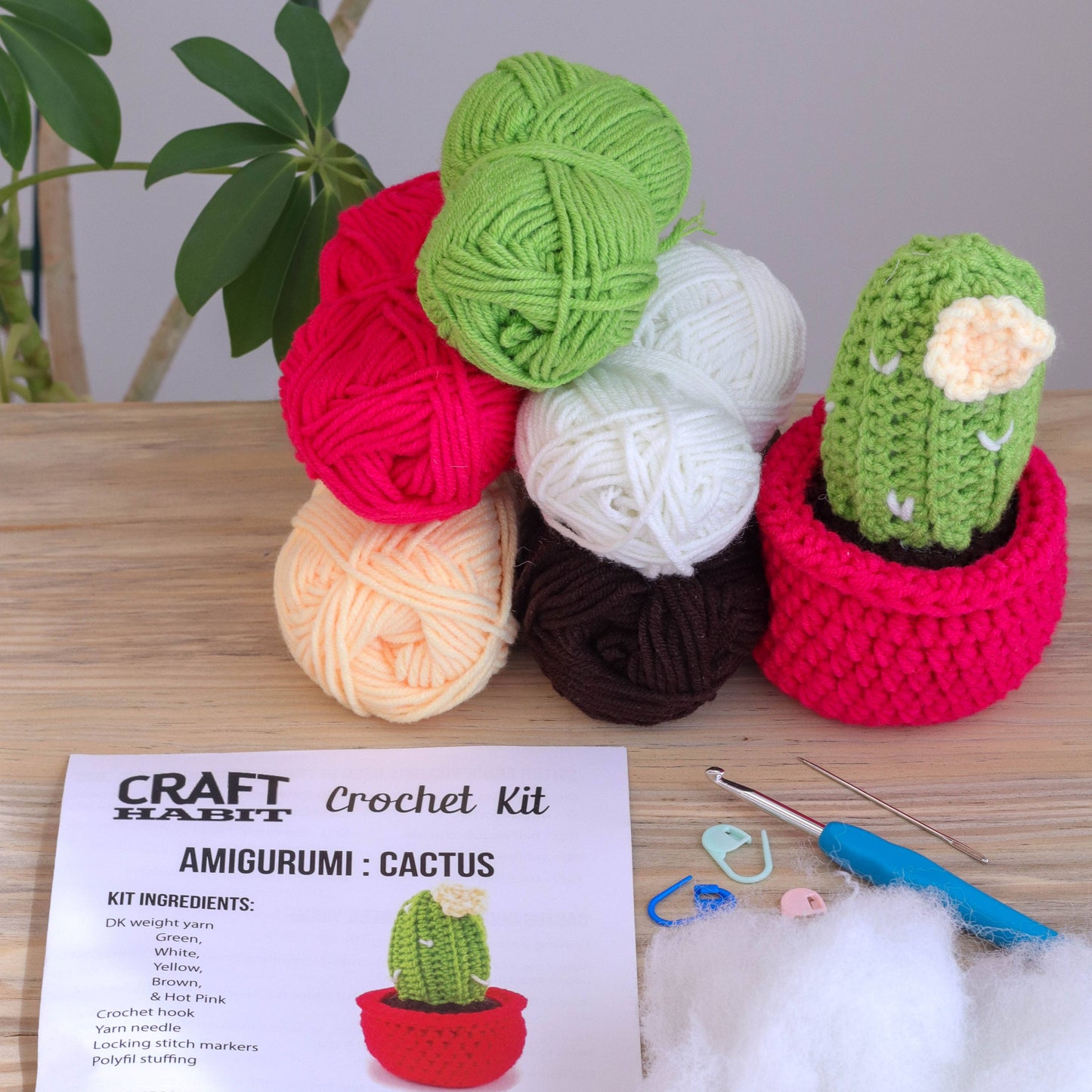 Amigurumi Cactus Crochet Kit