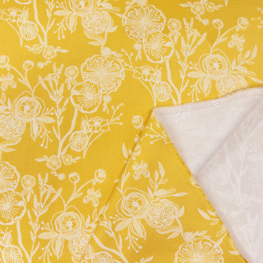 Canvas in Line Drawings