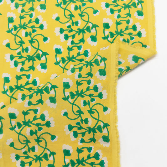 Wispy Littles in Meadow