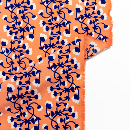 Wispy Littles in Sunset