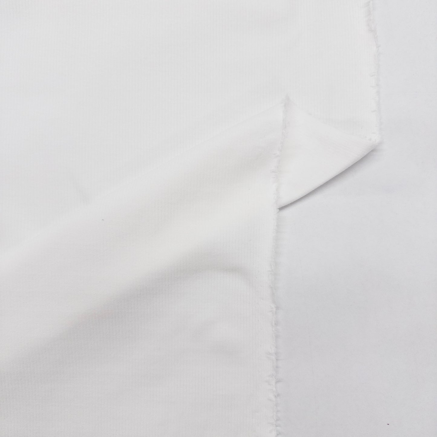 Rib Jersey in Ecru