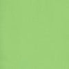 2ply Flannel in Lime
