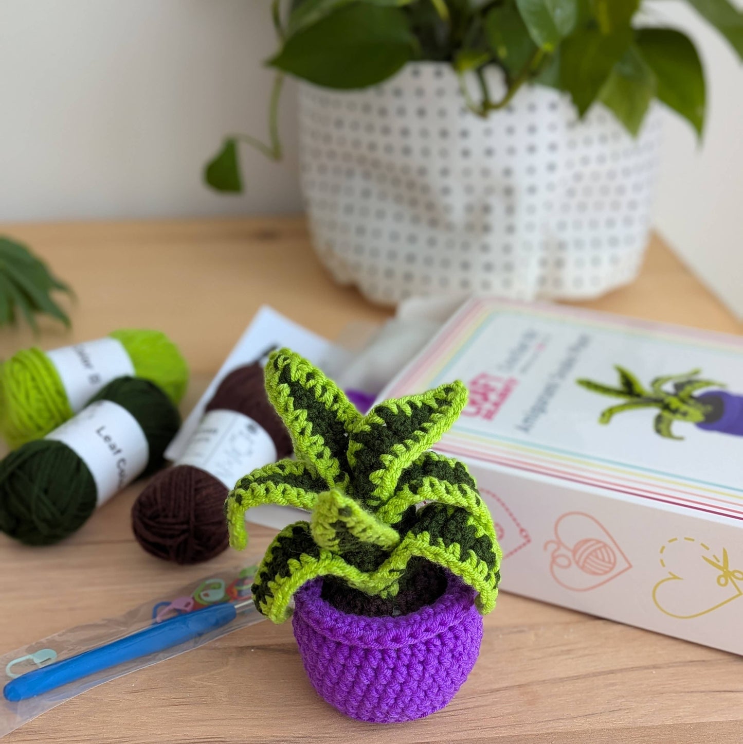 Amigurumi Snake Plant Crochet Kit