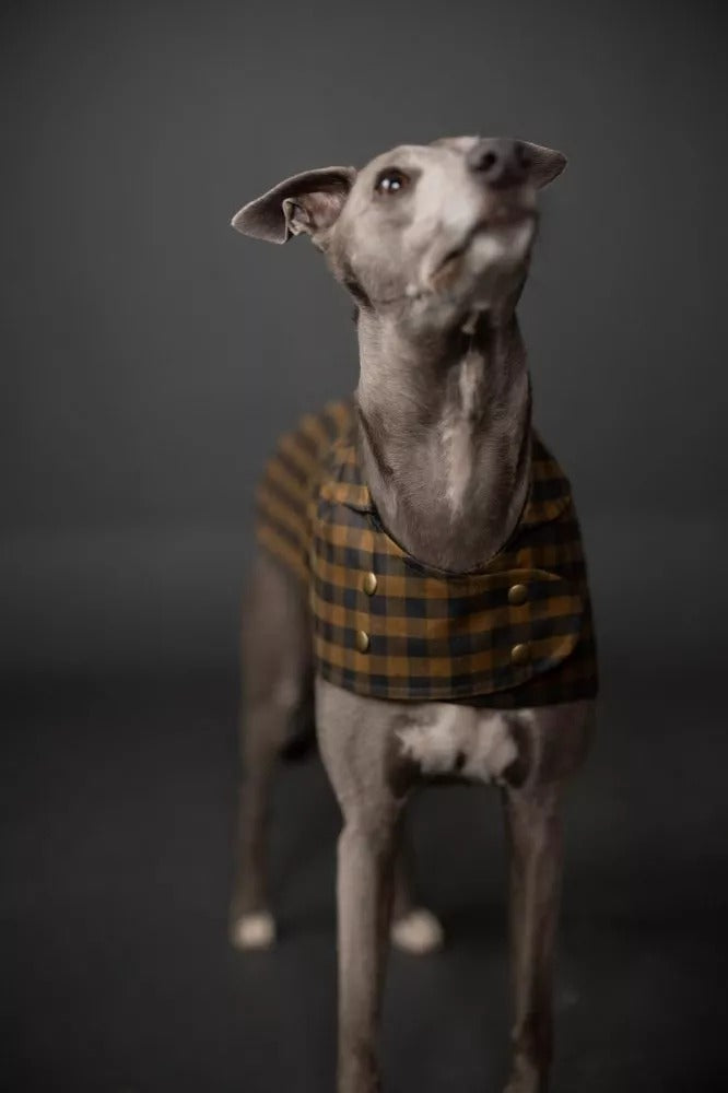 BARKA Dog Coat *less than 1m