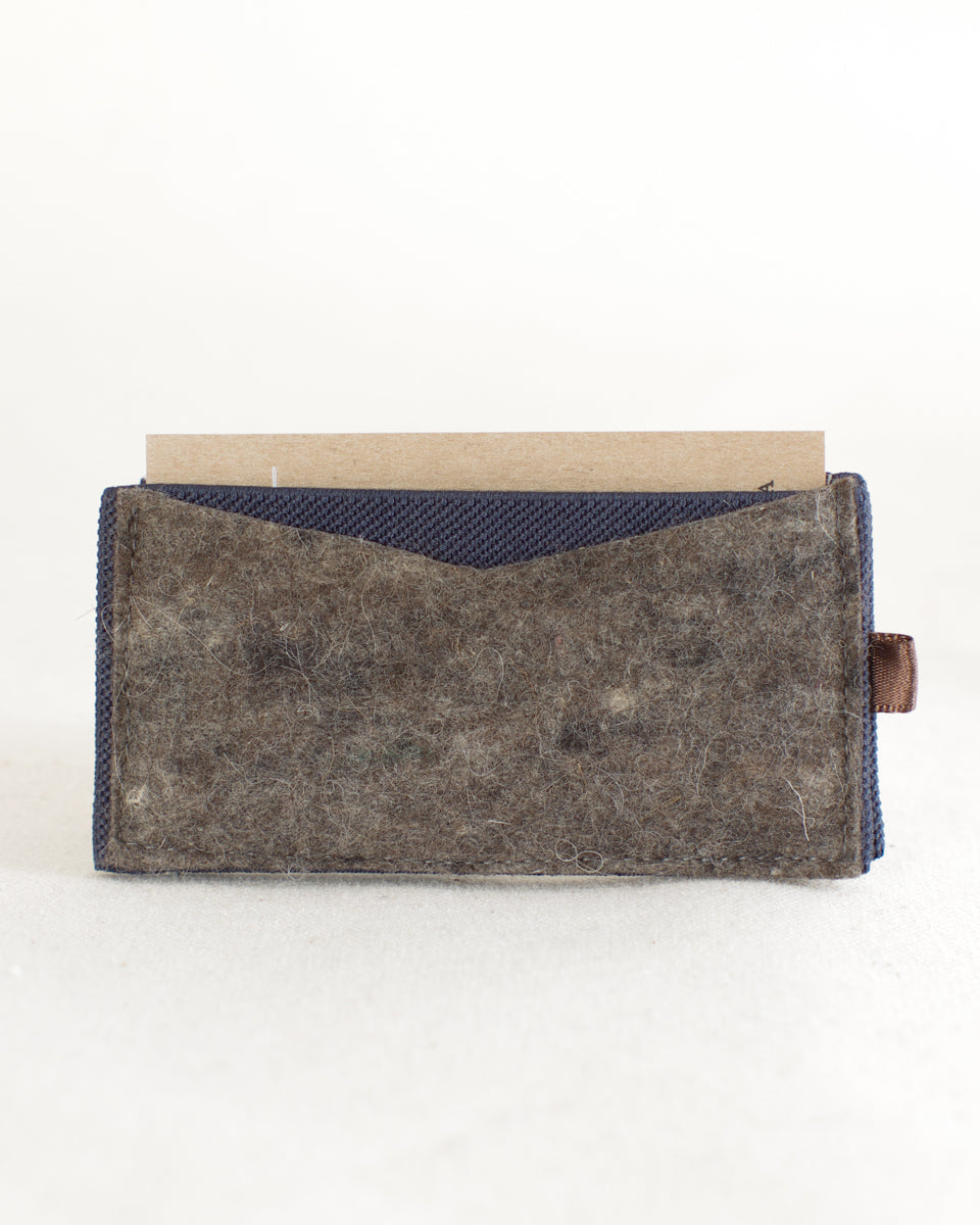 The Elastic Wallet PDF