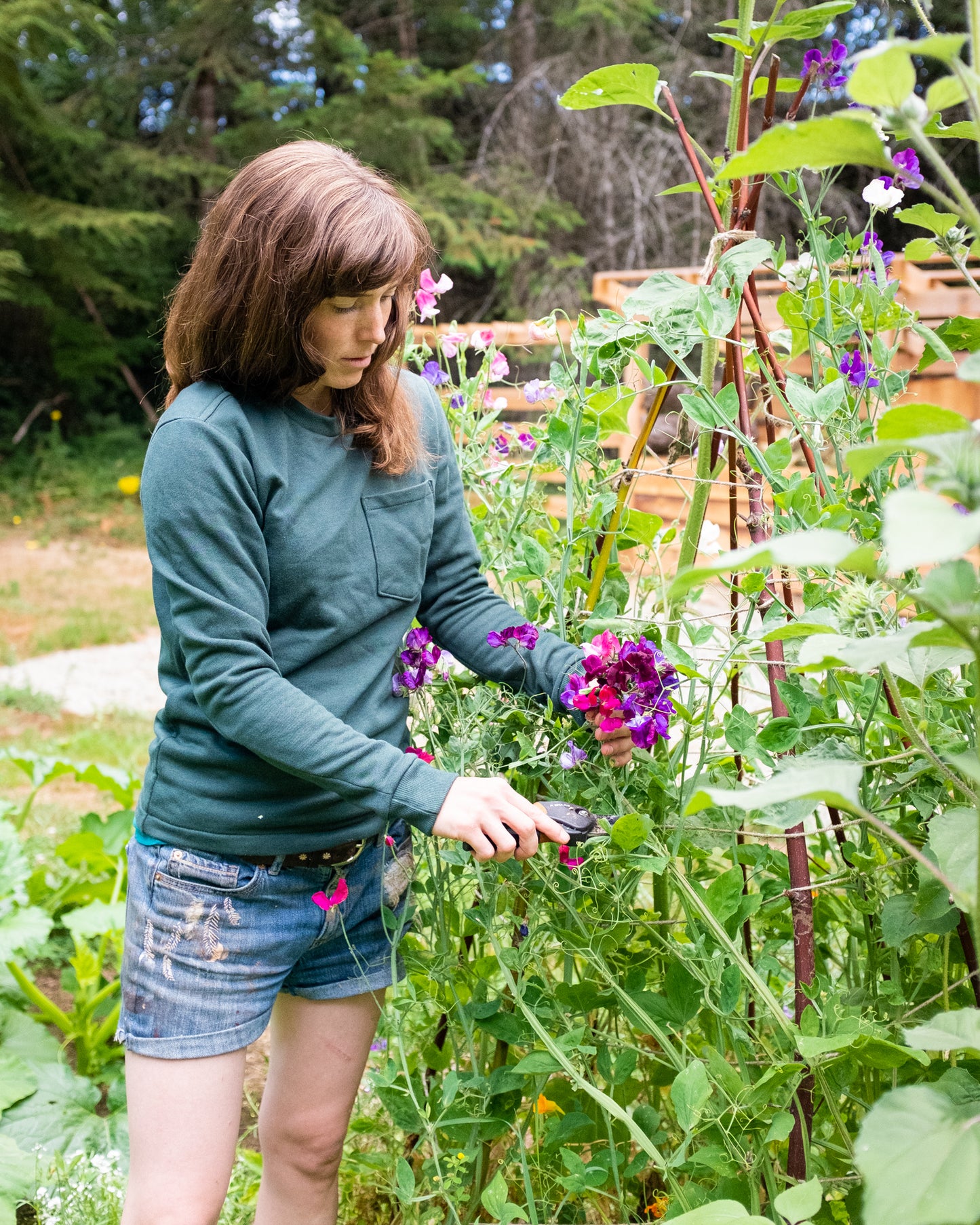 Woodley Tee PDF - Women's Sizing