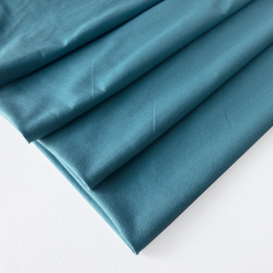 Laguna Cotton Jersey in Eucalyptus by Robert Kaufman