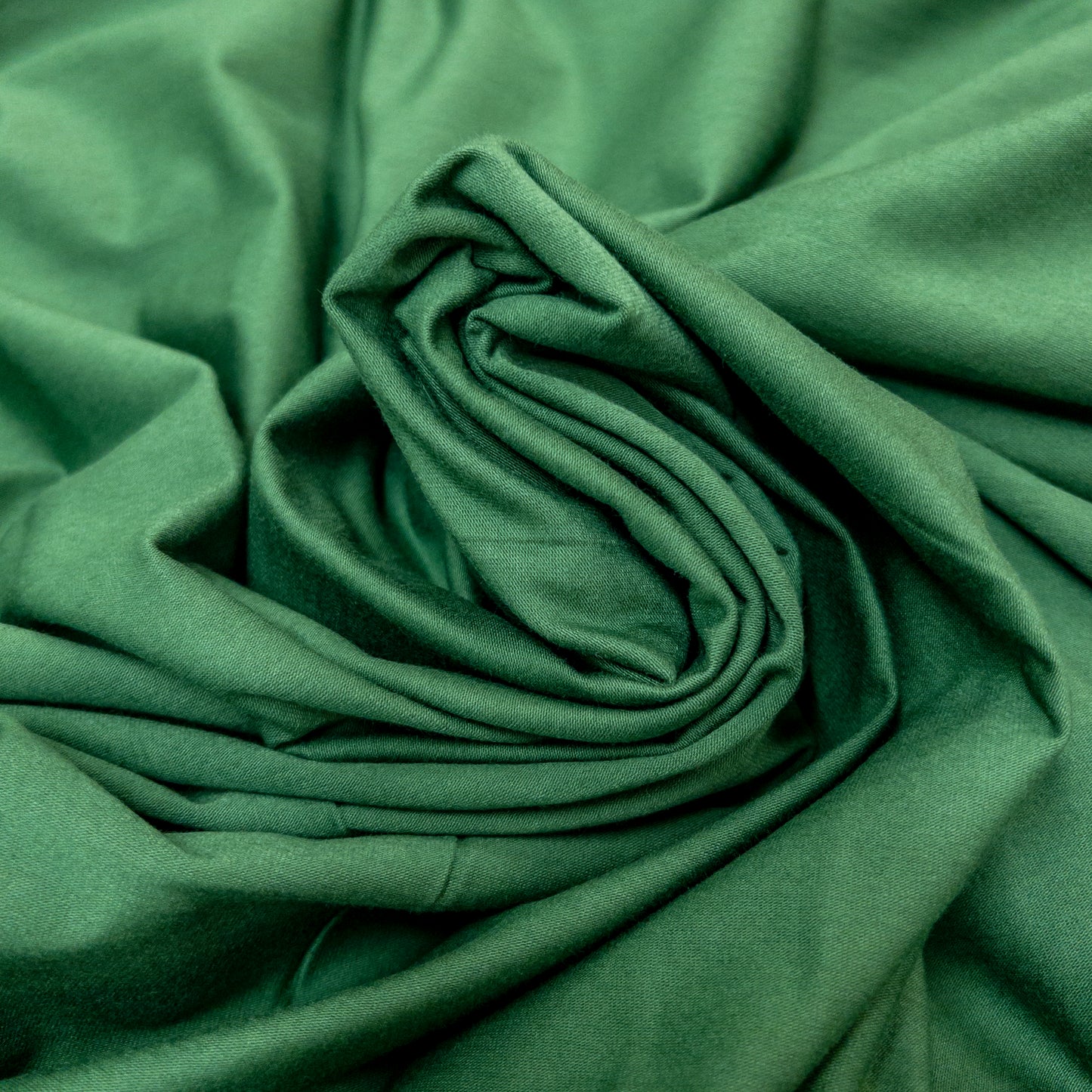 Laguna Cotton Jersey in Evergreen